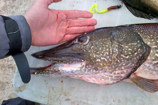 Private Fishing Adventure on the St. Lawrence River - Is the $448.12 Group Price Good Value?