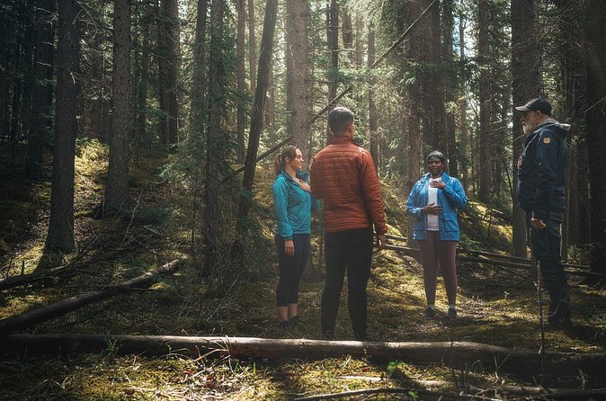 Private Forest Bathing Experience Connect with Nature - Breath work and meditation with room to be quiet