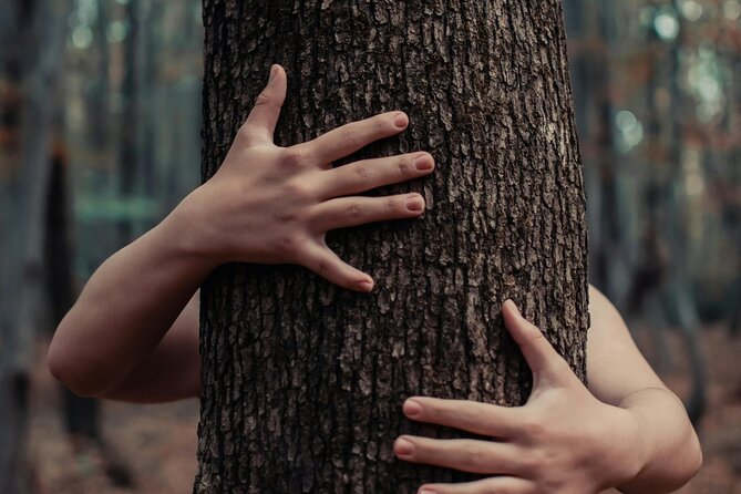 Private Forest Bathing Experience Connect with Nature - Who will get the most from this Banff outing