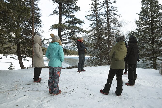 Private Forest Bathing Experience Connect with Nature - Timing, weather, and cancellation details