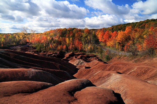 Private Greater Toronto DriveSpa Tour with Lunch - Why This Private GTA Tour Feels Different