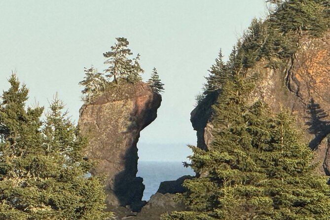 Private Guided Fundy Tour in Saint John - Key points to know before you book