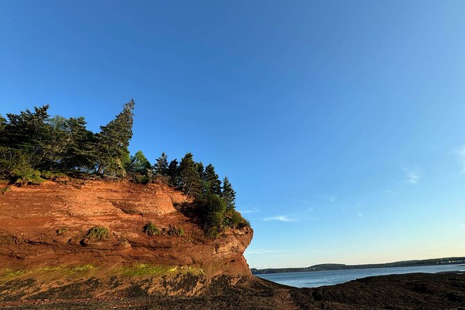 Private Guided Fundy Tour in Saint John - St. Martins sea caves are the day’s main event