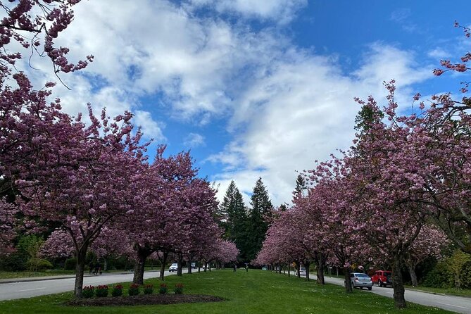 Private Guided Grand City Tour in Vancouver with your luggage - Edgemont Village, Lonsdale Quay, and the Shipyards