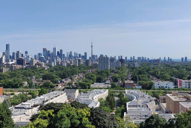 Private Half-Day Toronto Experience with a Local, Personalized - Graffiti Alley and Toronto’s creative side