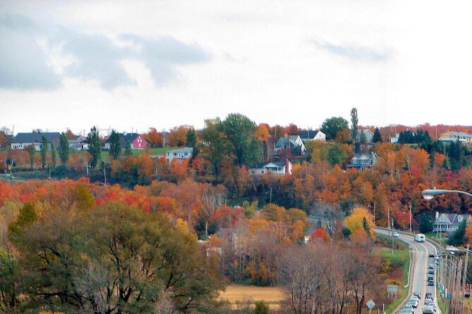 Private Montmorency Falls & Orleans Island from Quebec - Hotel pick up - Sainte-Pétronille on Île dOrléans