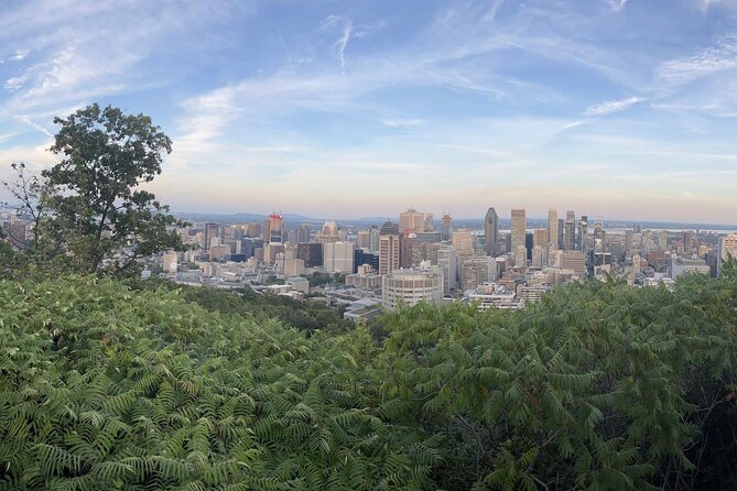 Private Montreal City Tour by Car, History & Hidden Gems - Why a private car works well in Montreal