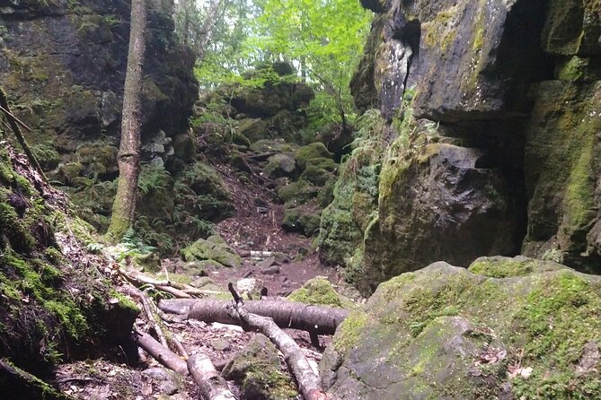 Private Singhampton Caves Hiking Tour, Collingwood/Blue Mountain - Reaching the Singhampton Caves