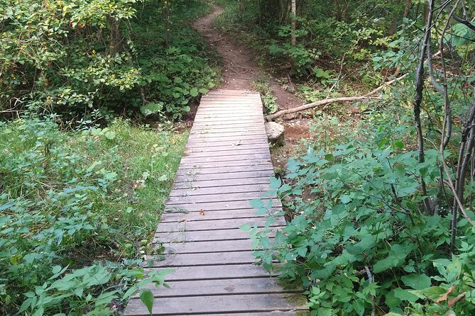 Private Singhampton Caves Hiking Tour, Collingwood/Blue Mountain - What the private format adds