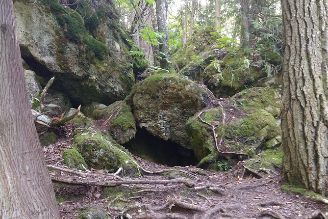 Private Singhampton Caves Hiking Tour, Collingwood/Blue Mountain - What the guides add to the experience