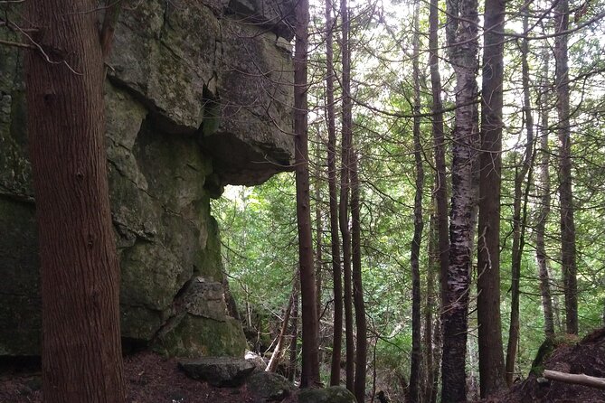 Private Singhampton Caves Hiking Tour, Collingwood/Blue Mountain - Comparing Singhampton with Nottawasaga Bluffs