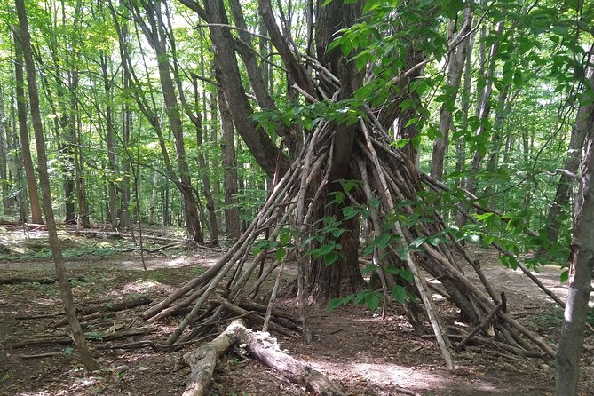 Private Singhampton Caves Hiking Tour, Collingwood/Blue Mountain - How to prepare for 2.5 to 3 hours outside
