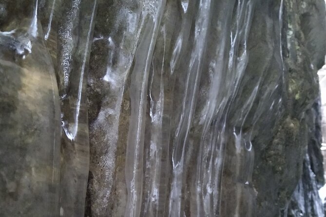 Private Singhampton Caves Snowshoe, Collingwood/Blue Mountain - Singhampton or Nottawasaga Bluffs?