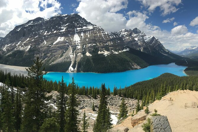 Private Tour Banff Yoho Jasper National Park for a Small Group - Jasper National Park: the hardest park to fit into one day