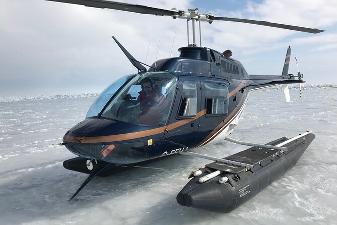 Private Tour: Niagara Falls Helicopter Flight - What the 20-minute route actually gives you