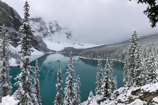 Private Tour of Lake Louise and the Icefield Parkway for up to 12 guests - The Guide Makes the Difference