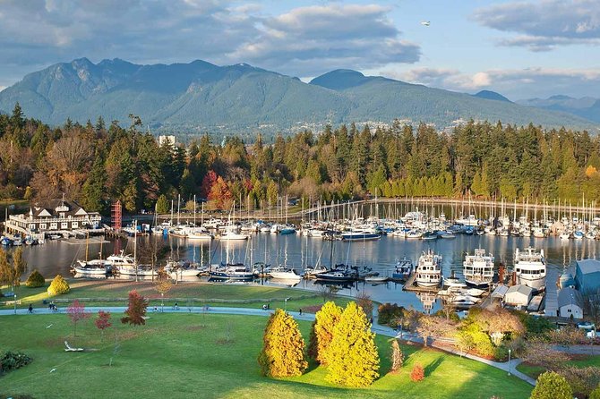 Private Tour: Vancouver Sightseeing and Capilano Suspension Bridge - Timing, pickup, and group size matter