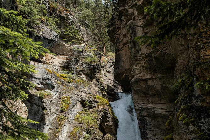Private VIP Tour in Lake Louise, Moraine and Hidden Gems - Winter’s Emerald Lake and Natural Bridge route