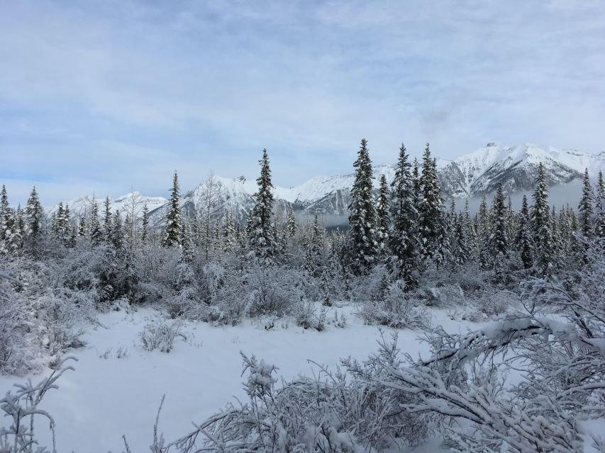 PRIVATE Wilderness and Wildlife Walking Tour - 3hrs - Views, river scenery, and fewer people