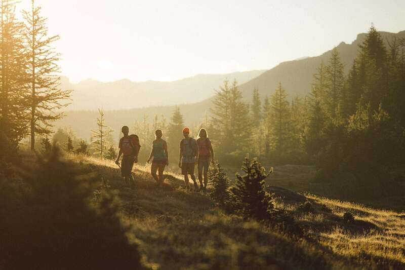PRIVATE Wilderness and Wildlife Walking Tour - 3hrs - What the private format adds
