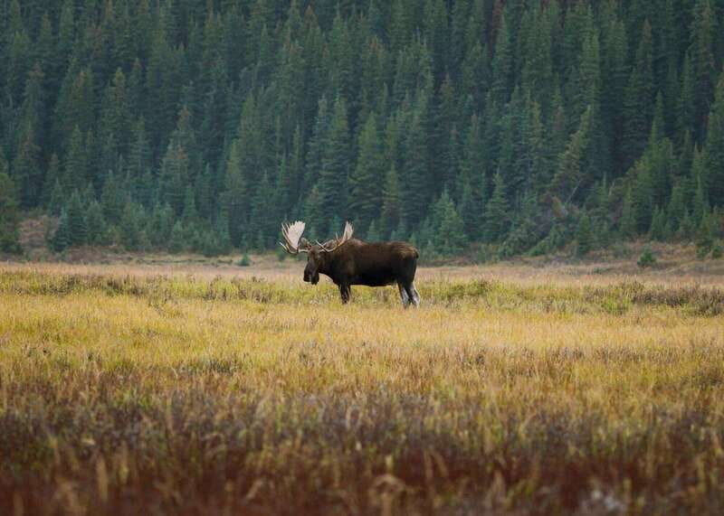 PRIVATE Wilderness and Wildlife Walking Tour - 3hrs - Family suitability and walking demands