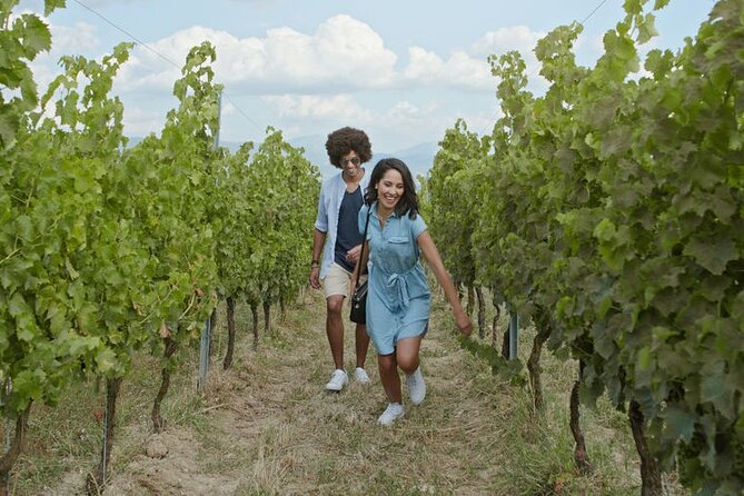 Private Wine Tour in Niagara-on-the-Lake w/ cheese & charcuterie - Premium Stops and Pairings