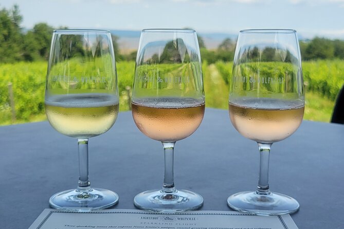 Private Wine Tours from Halifax - What makes the Annapolis Valley stops worthwhile
