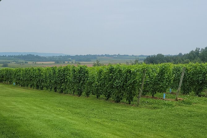 Private Wine Tours from Halifax - Booking details and practical limits