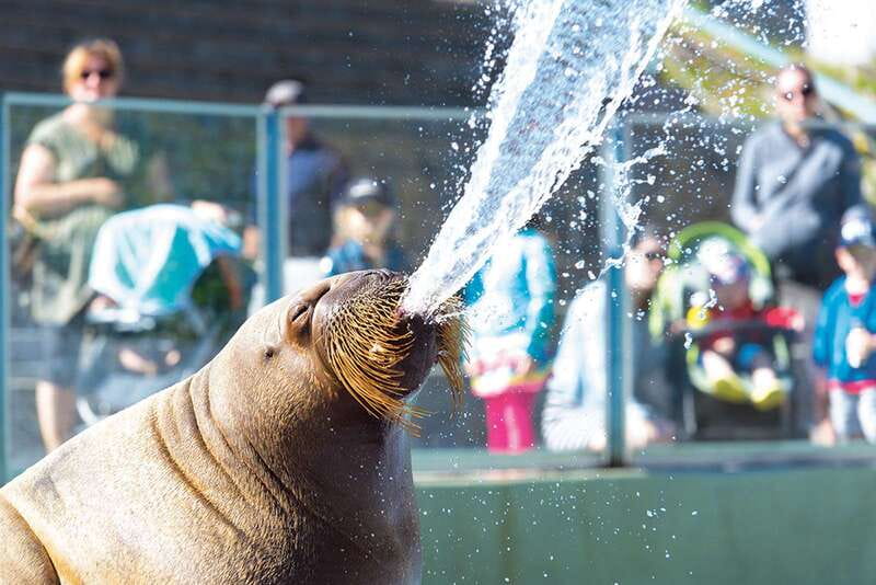 Quebec: Aquarium du Quebec Entry Ticket - Key things to know before you go