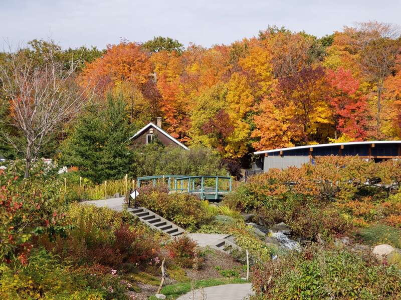 Quebec: Aquarium du Quebec Entry Ticket - Accessibility and practical comfort