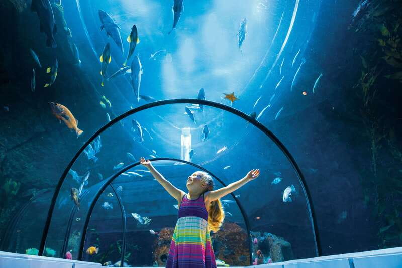 Quebec: Aquarium du Quebec Entry Ticket - The stingray touch experience