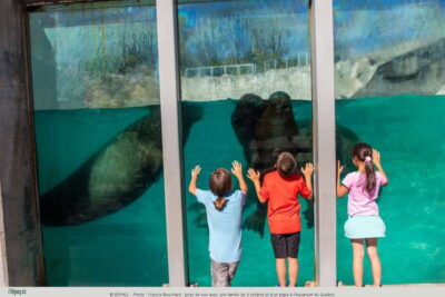 Quebec: Aquarium du Quebec Entry Ticket