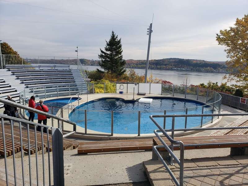 Quebec: Aquarium du Quebec Entry Ticket - Seals, walruses, and the daily animal talks
