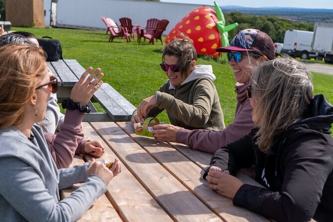 Quebec City - Guided E-Bike Tour & Tastings - Ile d'Orléans - Berry country and the St. Lawrence River