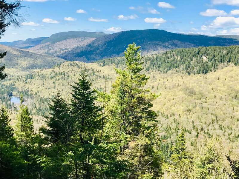 Quebec City: Guided Hike in Jacques-Cartier National Park - The guide-led portion and the value of expert company