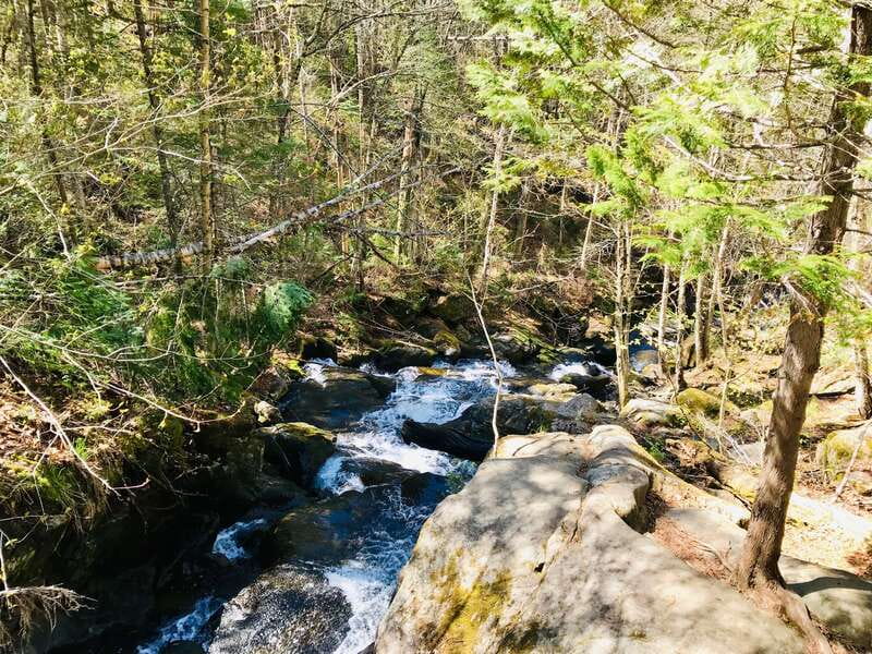 Quebec City: Guided Hike in Jacques-Cartier National Park - Two hours of free time after the guided hike