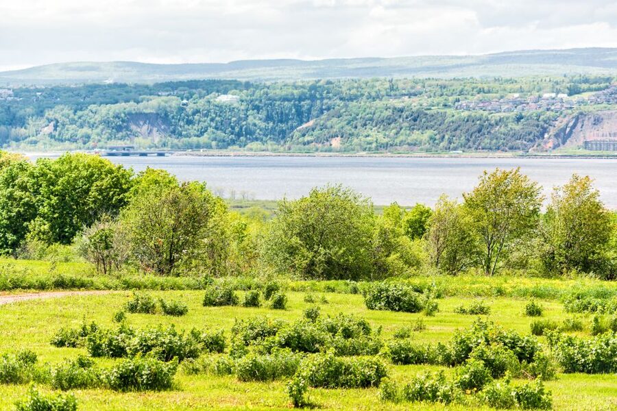 Québec City: Guided Sightseeing River Cruise - How good is the $47 value?