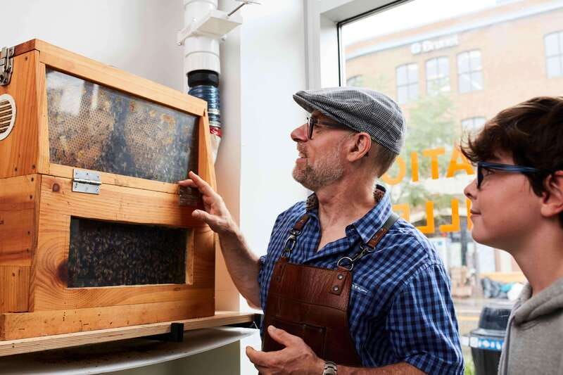 Quebec City: Honey and Distillery Tour with Tasting - The live hive is the memorable opening