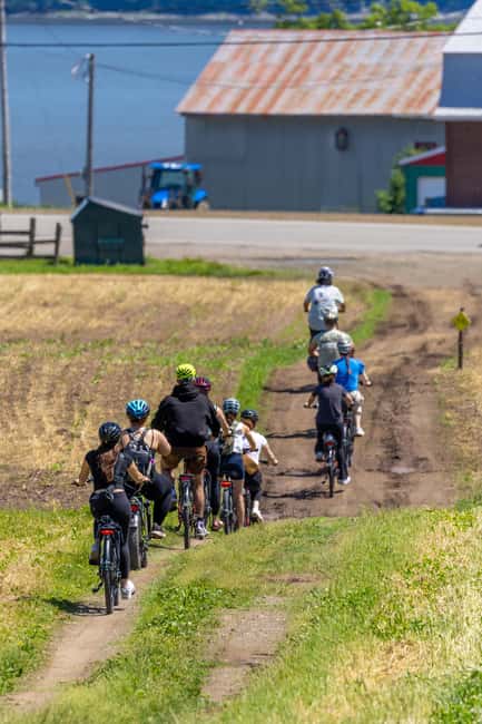 Quebec City: Ile d'Orléans Guided E-Bike Tour with Tastings - What the guides add to the four hours