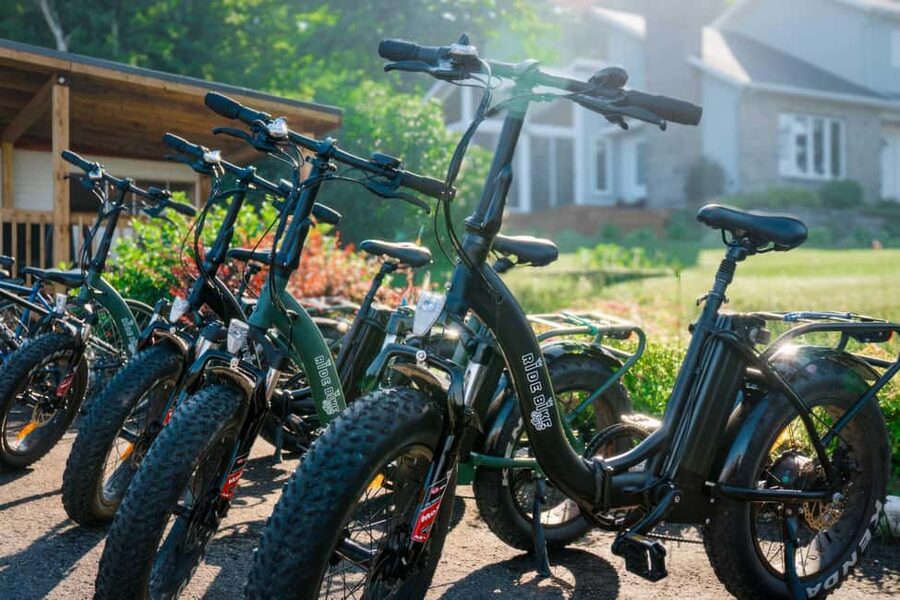 Quebec City: Ile d'Orléans Guided E-Bike Tour with Tastings - Maple, berries, and farm products come first