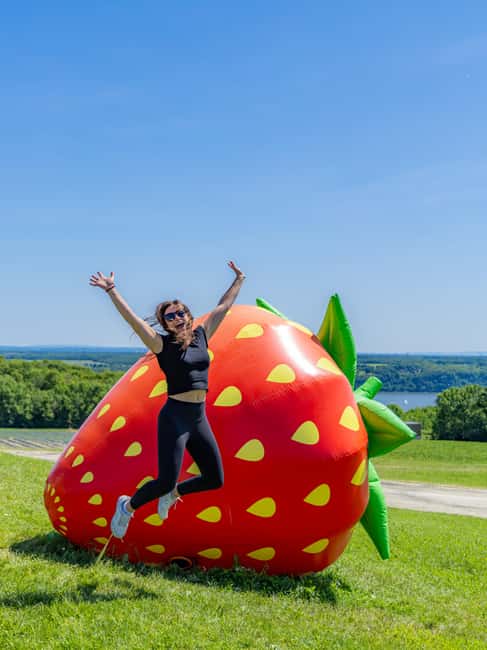 Quebec City: Ile d'Orléans Guided E-Bike Tour with Tastings - Getting started at Quebec Aventure Tours