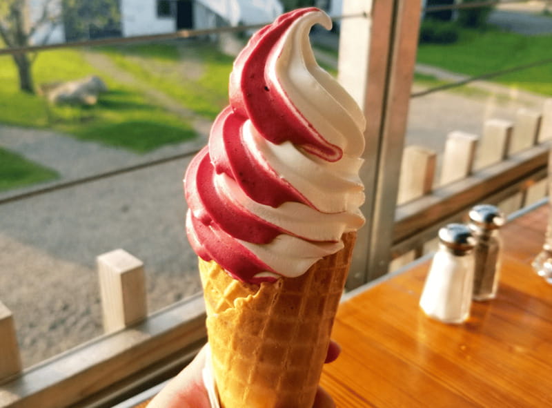Quebec City: Island of Orléans Taste Trail - Why Île d’Orléans makes a good half-day escape