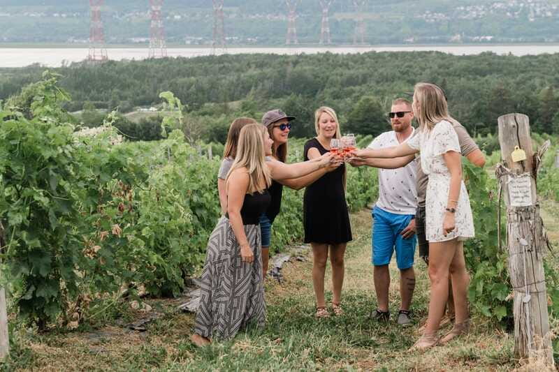Quebec City: Island of Orleans Wine Tour - What the wine tastings are really like