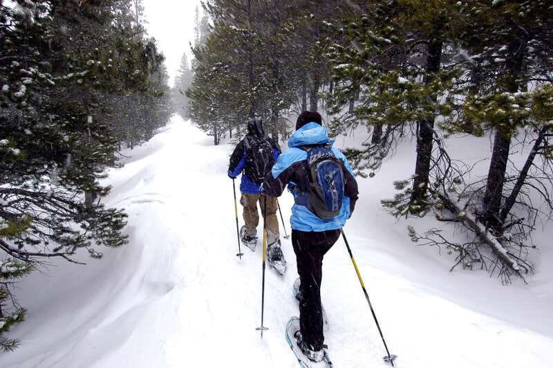 Quebec City: Jacques-Cartier National Park Snowshoeing Tour - Key points to know before you book