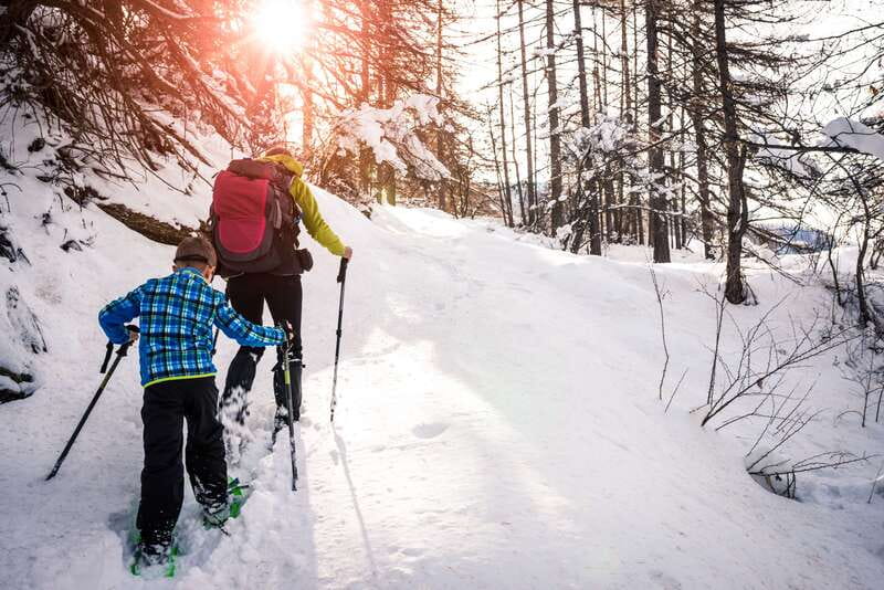 Quebec City: Jacques-Cartier National Park Snowshoeing Tour - Why Jacques-Cartier National Park makes a good winter outing
