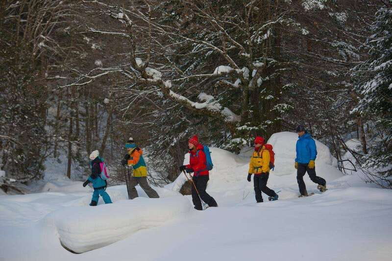 Quebec City: Jacques-Cartier National Park Snowshoeing Tour - The guided forest walk and its uphill work
