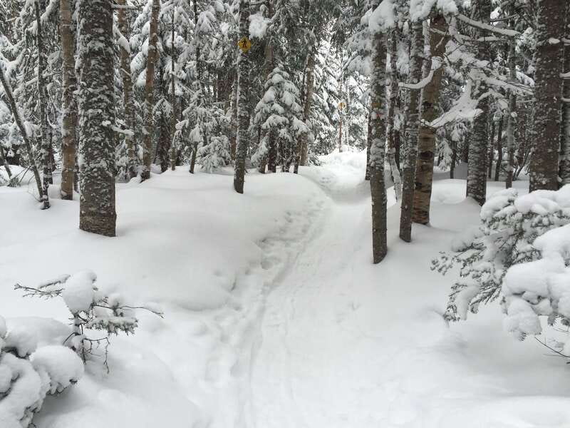 Quebec City: Jacques-Cartier National Park Snowshoeing Tour - Hot chocolate, local snacks, and a warm lunch