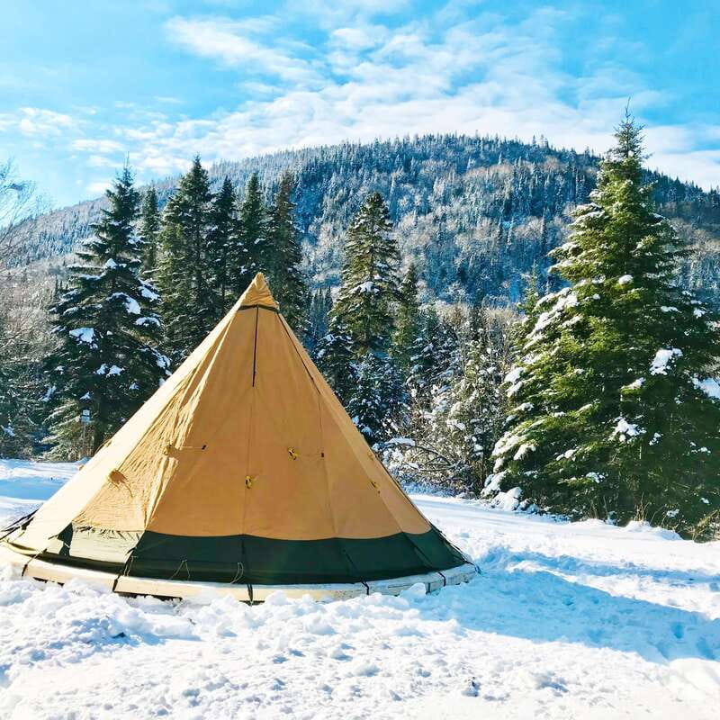 Quebec City: Jacques-Cartier National Park Snowshoeing Tour - Afternoon free time at Jacques-Cartier National Park