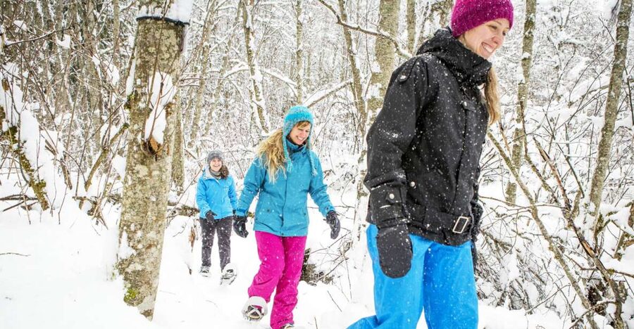 Quebec City: Jacques-Cartier National Park Snowshoeing Tour - Is the $108 price good value?