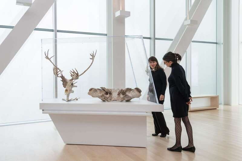Quebec City: MNBAQ National Fine Arts Museum Entry Ticket - Key points to know before you go